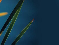 AQUS is a Grey Water Recycling System for Wastewater Reuse